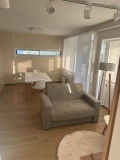 Depto , 1 dormitorio mas sofá cama en living - 1