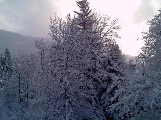 Appartement rénové - 1 chambre, 6 personnes, animaux acceptés - FR-1-836-34 - 5