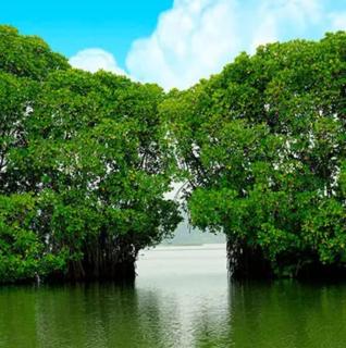 KunnuBanglow Homestay,Nedungolam,paravur,kollam - 8