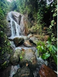 KunnuBanglow Homestay,Nedungolam,paravur,kollam - 6