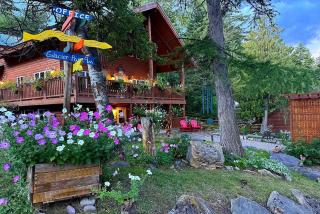 Timber Wolf Resort - 0