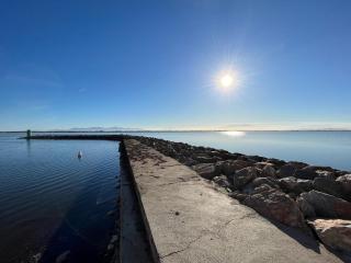Studio confortable avec climatisation et animaux acceptés au Barcarès - FR-1-799-46 - 1
