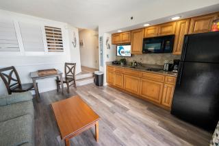 Steps from Beach, Direct View,Oceanfront Paradise! - 1