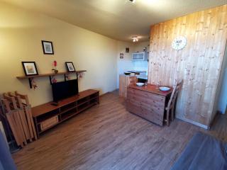 2 Pièces Cabine Pied des Pistes - 4 Lits Superposés, Animaux Admis - FR-1-771-39 - 5