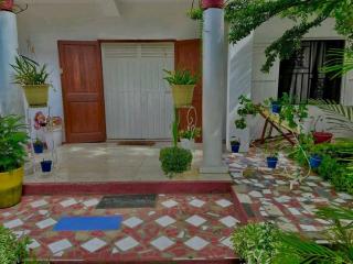 La maison blanche - 8