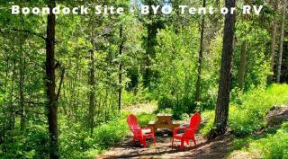 Timber Wolf Resort - 5