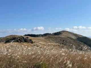 Kasamatsutei - Vacation STAY 73446v - 3