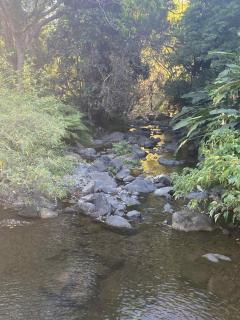 BUNGALOW 9 Le BUNGALOW DOUCEUR - 5