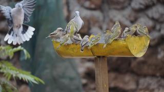 Oldonyo Musa Camp Amboseli - 1