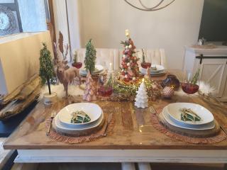 CM-Harz-Appartement - 3