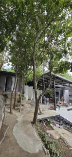 La Lune's Koh Tao - 9