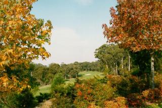 Little Haven Leura Cottage with Spa Bath and BBQ - 1