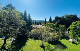 Alpine Boutique Chalet with Sauna near Salzburg - 8