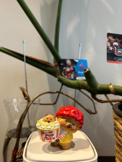 Large apartment city center - 6