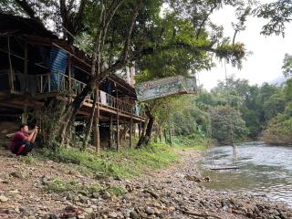 Khaosok August Freedom Camp - Khao Sok - 1