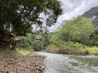 Khaosok August Freedom Camp - 4