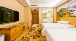 Vienna Hotel Nanjing Zhongshan Mausoleum - 8