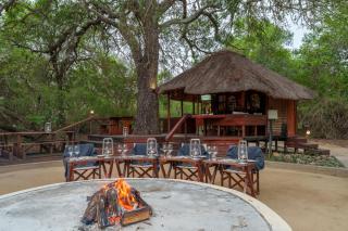 Lion Tree Top Lodge - 6
