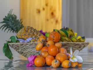 Studio Paille en ké - 2