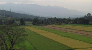 Pripta Boutique Resort - 9