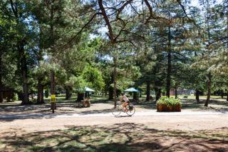 Elegant Studio with Parking - Canberra - 6