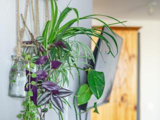 Studio Paille en ké - 3