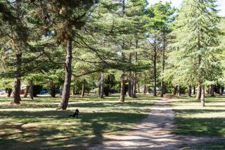 Unwind in Elegance: Your Perfect Braddon Apartment - 0