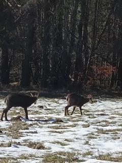 Le Moulin de Navette - 4