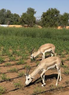 Sun Set Dunes Holidays Home - 9