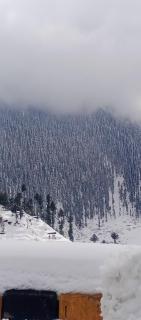 Three Star Hotel & Restaurent Malam jabba swat - 9