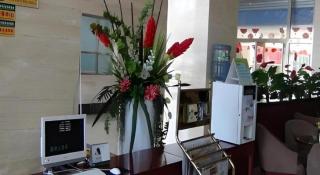 GreenTree Inn Tianjin Wuqing Distric Bohai Market - 4