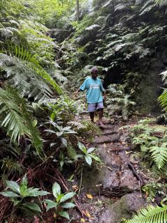 Tanna fireworks homestay - 3