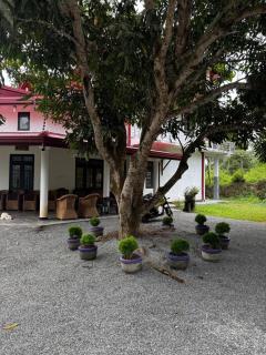 Nomad's Peak Hiriketiya - 4