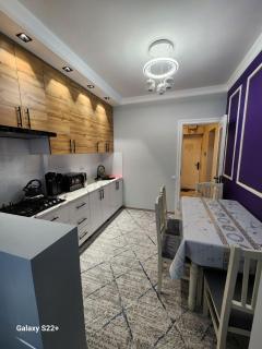 Tashkent International Aeroport - 0