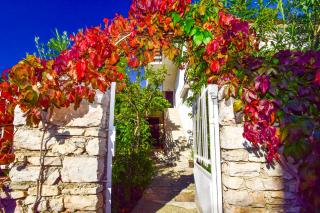 Apartments Milenko 547 - Vodice - 8