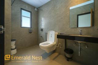 Emerald Nest - 7