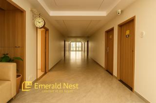Emerald Nest - 3