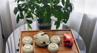 Yang Peng Jin Jiang Hotel - 8