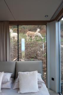 Galactic getaways MARS - 7