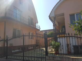 Pensiunea Phoenix - Oradea - 1