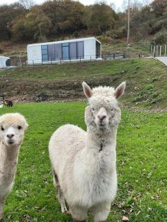 Galactic getaways MARS - 0