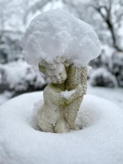 Alpenruhe Residenz - 3