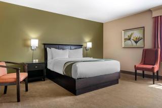 Quality Inn & Suites Quispamsis - 7