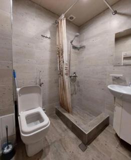 Apt In Yerevan,Koghbatsi St,CENTRE - 5