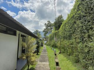 Capital O 94094 New Lembah Nyiur - 6