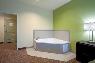 Holiday Inn Express Hotel & Suites Clemson - University Area by IHG - 9
