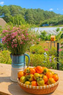 Nhà Của Thùy - 5