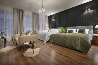 U Šuterů Boutique Hotel - 1