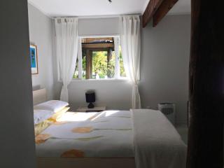 Relax in Titirangi Cozy Studio Apartment - 8