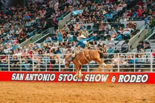 Holiday Inn Express Hotel & Suites San Antonio - Rivercenter Area by IHG - 7